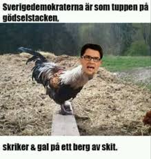 9gag is your best source of fun! Mister P Jimmie Akesson Invalida Incester Video Inlagg