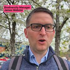 Maplewood at Chineham Park: a fitting home for the workspace of the future  and the ideal flexibility for a post-covid environment. ✓Grade A offices  ✓Stunning reception and breakout space ✓Flexible sq ft