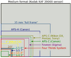 The 1 Camera What Is Nikon Thinking Updated