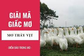 Sau quá trình điều tra, truy xét, công an quận tân phú đã bắt giữ được phạm ngọc anh tuấn, nghi phạm cầm dao đe dọa nhân viên cửa hàng tiện lợi, cướp tài sản. Giáº£i Ma Giáº¥c MÆ¡ Náº±m MÆ¡ Tháº¥y Con Vá»‹t Vá»‹t Cháº¿t Ä'iá»m Bao Gi Lanh Hay Dá»¯ Con Sá»' Lien Quan