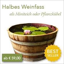 Sonnenblumen drehen ihre blüte zur sonne. Der Besondere Garten Derbesonderegar Profil Pinterest