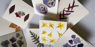 This is the kind of greeting card that people with save slipped in. Make Your Own Pressed Flower Cards Wen