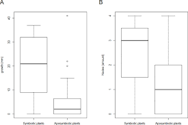 Image result for Tricalysia semidecidua