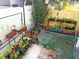 As you go inside the farm, you will see the white planting tubes all along the pathways. From Curiosity To Advocacy How An Urban Gardener Grows Her Own Food And Encourages Everyone To Do The Same Agriculture Monthly