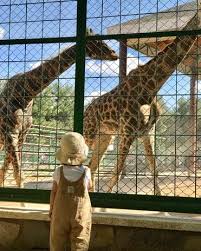Üniversite bulvarı'nın sonunda hayvanat bahçesinin tabelalarını görebilirsiniz. Gaziantep Hayvanat Bahcesi Sizi Safariye Davet Ediyor Biletbayi Blog