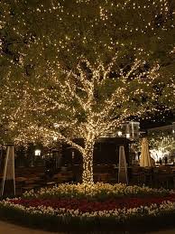35 Inspiring Christmas Outdoor Lights Decoration Ideas In 2020 Weihnachten Im Freien Hinterhofbeleuchtung Hinterhof