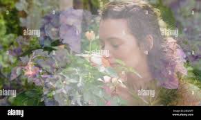 Glowing flowers hi-res stock photography and images