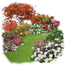 Projet Amenagement Jardin Les Plantes De Terre De Bruyere En Folie Avec Images Amenagement Jardin Idee Amenagement Jardin Jardin Japonais