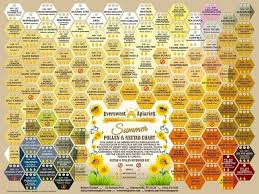 Bee Pollen Chart Bee Bee Keeping Bee Boxes