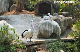 Only joking, but every time i go on my explore page this week, one of these r36 iterations is drawing my attention. Fasilitas Dan Harga Tiket Wahana Wisata Ocean Ecopark Ancol Penginapan Net 2021