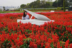 Check spelling or type a new query. Zhongshe Flower Market Travel Guide How To Get There Chung She Garden Taichung Taiwan The Poor Traveler Itinerary Blog