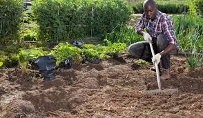 How to till a garden without tiller. How To Till A Garden Without A Tiller In Detail Guide Upd 2021