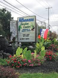 Natalie green was diagnosed with breast cancer four years ago, but after treatment, she. Water Feature Wonders Garden Center Magazine