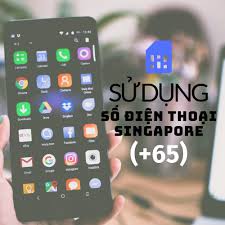 Hội khuyến học việt nam. Cach Thá»©c Sá»­ Dá»¥ng Sá»' Ä'iá»‡n Thoáº¡i Singapore Ä'áº§u Sá»' 65 Co Roaming Táº¡i Viá»‡t Nam Trong Kinh Doanh Global Links Asia