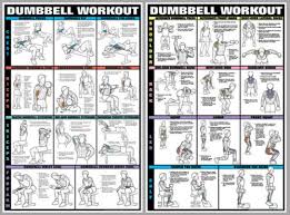 Details About Dumbbell Workout Dumbells Free Weights Pro Fitness Wall Charts 2 Poster Set