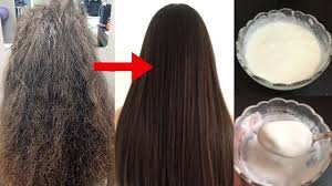 Dull and dry hair damaged hair is deprived of the natural oils on the outer layer of your hair. How To Treat Extremely Dry Damaged Hair At Home Best Treatment For F Treat Damaged Hair Dry Frizzy Hair Treatment Hair Treatment Damaged