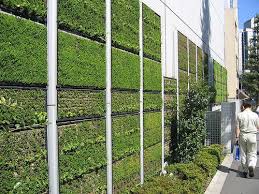 More Green Walls Vertical Garden Vertical Garden Design Backyard Garden Landscape