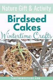 Try this easy ring pan mold from unflavored gelatin and bird seed and watch the bird flock to it! Totally Cute Easy Birdfeeder Ornaments The Perfect Teacher Gift Take Them Outside