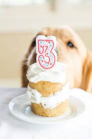 Coconut Honey Doggy Cake Happy 3rd Birthday Duke Brown Eyed Baker Recipe Dog Birthday Cake Recipe Dog Birthday Cake Easy Dog Safe Cake Recipe