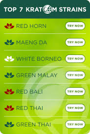 Kratom Strains Effects Guide Different Types Of Kratom