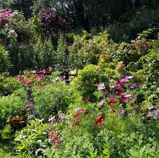 Explore more like flower shrubs zone 4. 10 Best Low Maintenance Bushes And Shrubs Easy Garden Plant Ideas