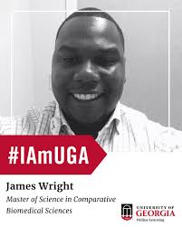 Spark Box, Author at UGA Online