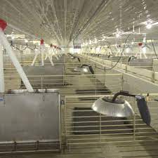 .cactus family farms, a 100% employee owned company, is seeking a wean to finish manager for sites in west central iowa! Cactus Family Farms