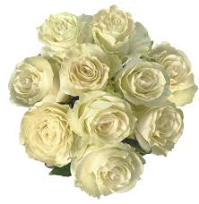 Check spelling or type a new query. Farm Direct Fresh White Roses Flower Delivery 50 Buy Online In Andorra At Desertcart 46163255