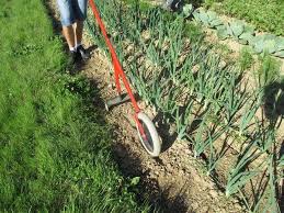 Desherbage Et Binage Mecanique Au Potager Desherbage Verger Jardin Potager