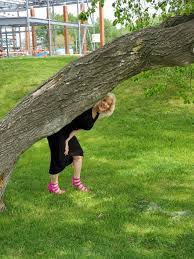 Carleen Ceraldi on X: Me looking around to see what chapter of Revelation  were doing today t.coIwXl1zyeKj  X