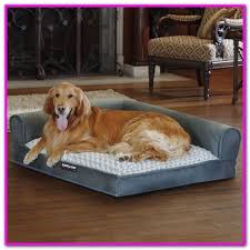 Below, seven owners break down how much they spend monthly and annually on their dogs. Pin On Dogs