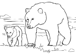 Every child who likes the cartoon masha and the bear dreams of getting in touch with their favorite characters. Bears To Print Bears Kids Coloring Pages