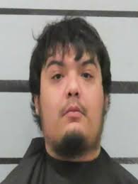 LISTER, ADRIAN MAYNARD 08/20/2025 Age: 43 Charges: Parole.Violation NO  LIABILITY INSURANCE (CITATION) Arrest Location: 4401 AVE Q Arresting  Agency: LPD #lubbockpolicedepartmemt #AdrianMaynardLister