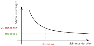 What Is The Difference Between Rheobase And Threshold Biology Stack Exchange
