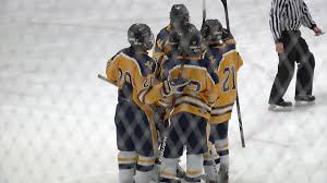 Pittsford is listed as one of 'best places to live in the country' by cnn and the town is one of the wealthiest in the nation. Victor Hockey Wins Fifth Straight Over Pittsford Rochesterfirst