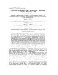 Image result for Anthericopsis sepalosa