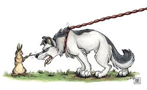 Food Chain By Tanidareal On Deviantart Animated Animals Cute Animal Drawings Animal Drawings