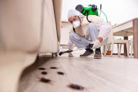 Pest Inspection: 3 Key Benefits of Hiring a Pest Control Company