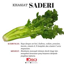 Tak hanya lezat dibuat sayur bening, bayam juga bikin ketagihan lho dibuat jadi sayur bobor. Rasa Saderi Brokoli Bayam Sayur Hijau Yang Banyak Facebook