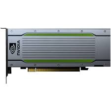 Lenovo Gpu Computing Processor Tesla T4 16 Gb Gddr6 Pcie 3 0 X16 Low Profile Fanless For Thinksystem Se350 7d1x Sr650 7x05 7x06 Amazon In Computers Accessories