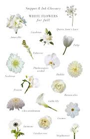 We did not find results for: Kind Of Flower With Name Flower Info