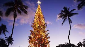 Christmas Festivities 2021 Oahu How To Have A White Christmas In Hawaii Conde Nast Traveler