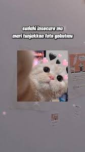  Meisy Meisy Meisyarani0508 Profil Pinterest