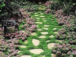 Ground cover flowers full sun zone 9. Pin By Consie Harris On Gardening Seed Saving Outdoor Gardens Beautiful Gardens Garden Inspiration