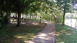 Use custom templates to tell the right story for your business. Best Park Around Taman Mutiara Rini Review Of Hutan Bandar Mpjbt Skudai Malaysia Tripadvisor