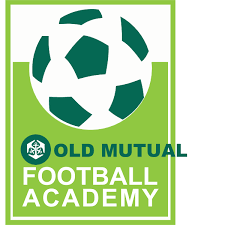 Custom logo 3 urartstudio logos paintings art lessons. Old Mutual Logo Download Logo Icon Png Svg