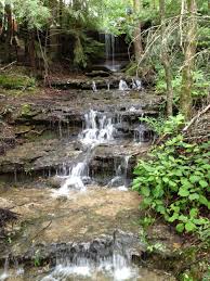 Use compost tea to encourage a healthy lawn but don't forgo fertilizers. Compost Tea Sprays Living Roots Compost Tea