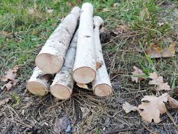 Sale 5 Birch Logs Wood Sticks Birch Tree Decor For Etsy Wood Sticks Wood Birch Logs
