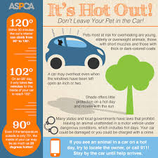 Download And Share Our Hot Weather Infographic To Prevent