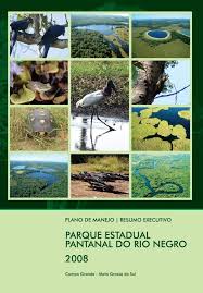 Image result for Rhytachne subgibbosa